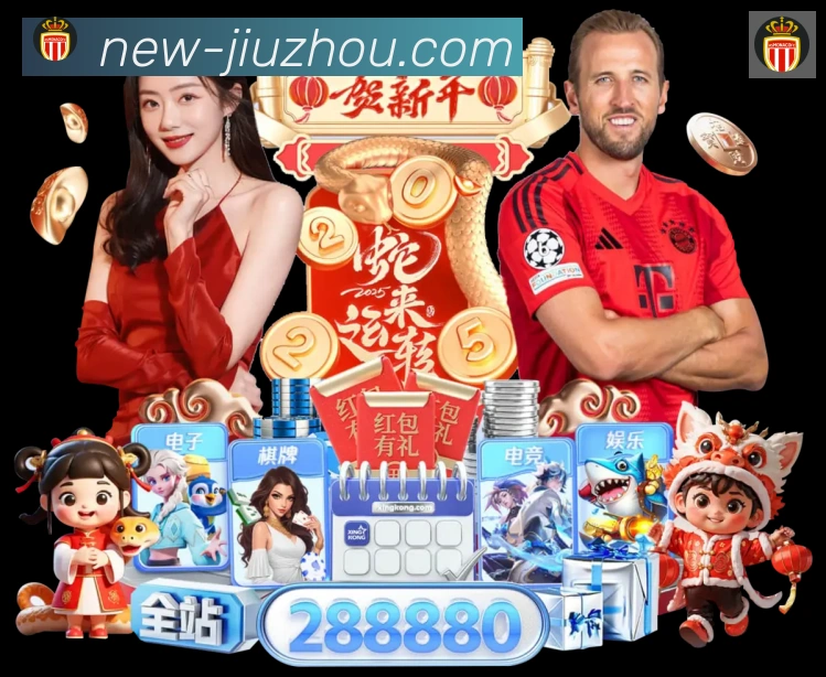 未来规划